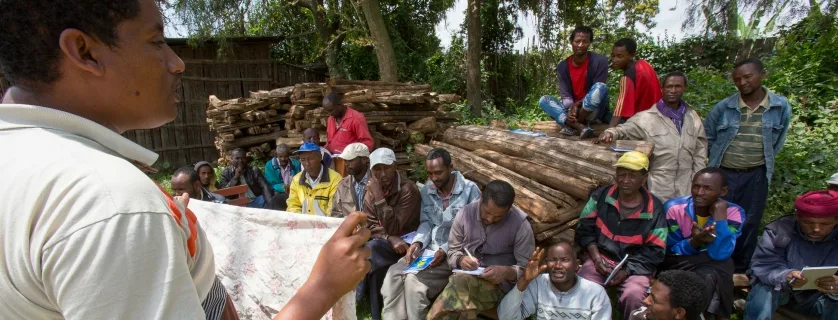 Vet training outside