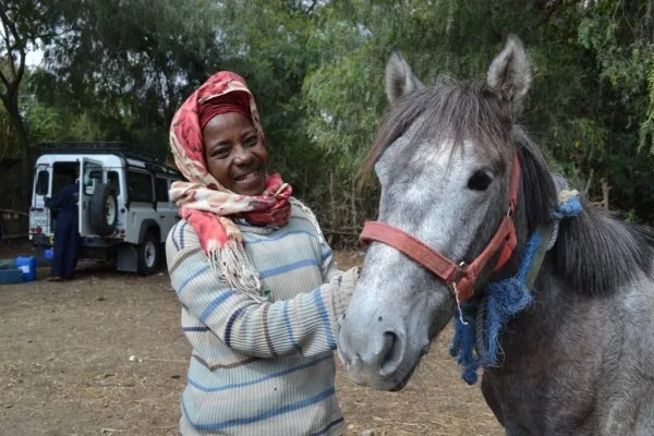 Woman and a grey horse