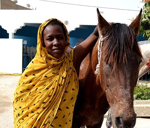 Woman with brown horse