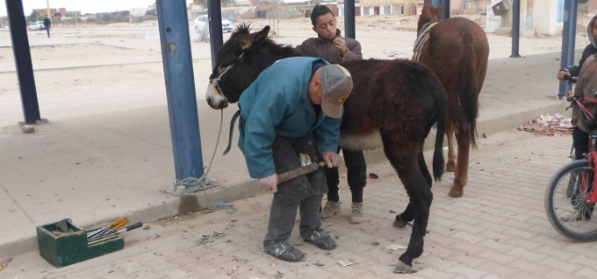 Man and children near brown donkey