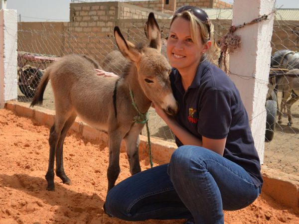 Smiling blonde woman and a donkey