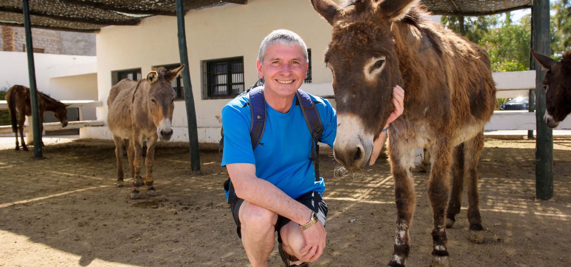 Man crouched down next to donkey