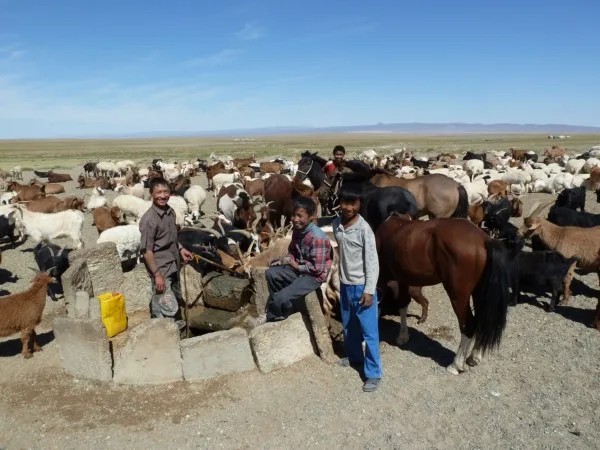 Well with livestock and Mongolian boys