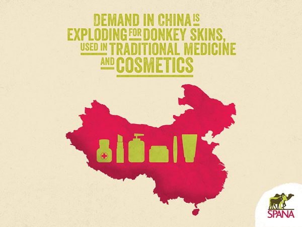 Infographics on demand in China is exploding for donkey skins-used in traditional medicine and cosmetics