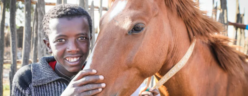 A boy and a brown horse