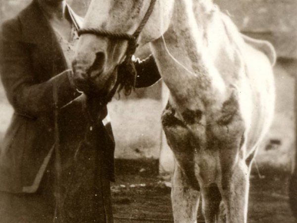 Old photo with woman and a white horse
