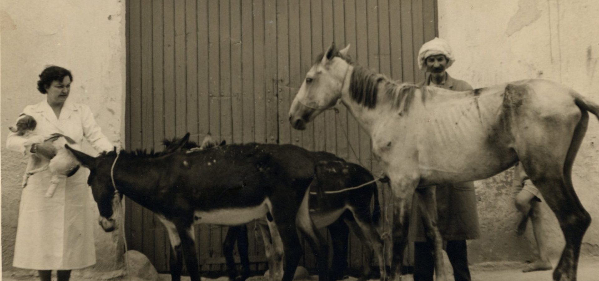 Woman vet with a dog in her hands, donkey, horse and a man wearing turban