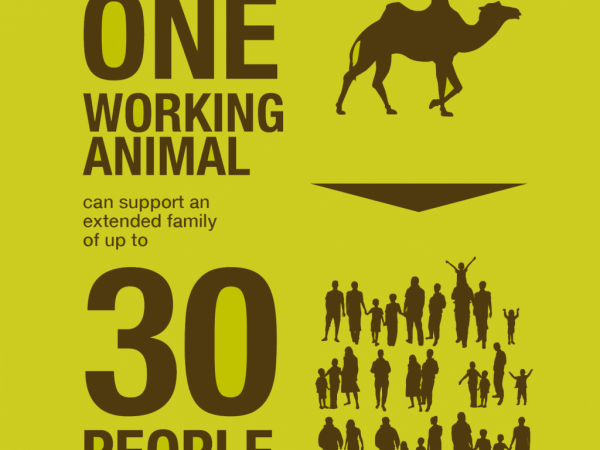 green graphic for working animals