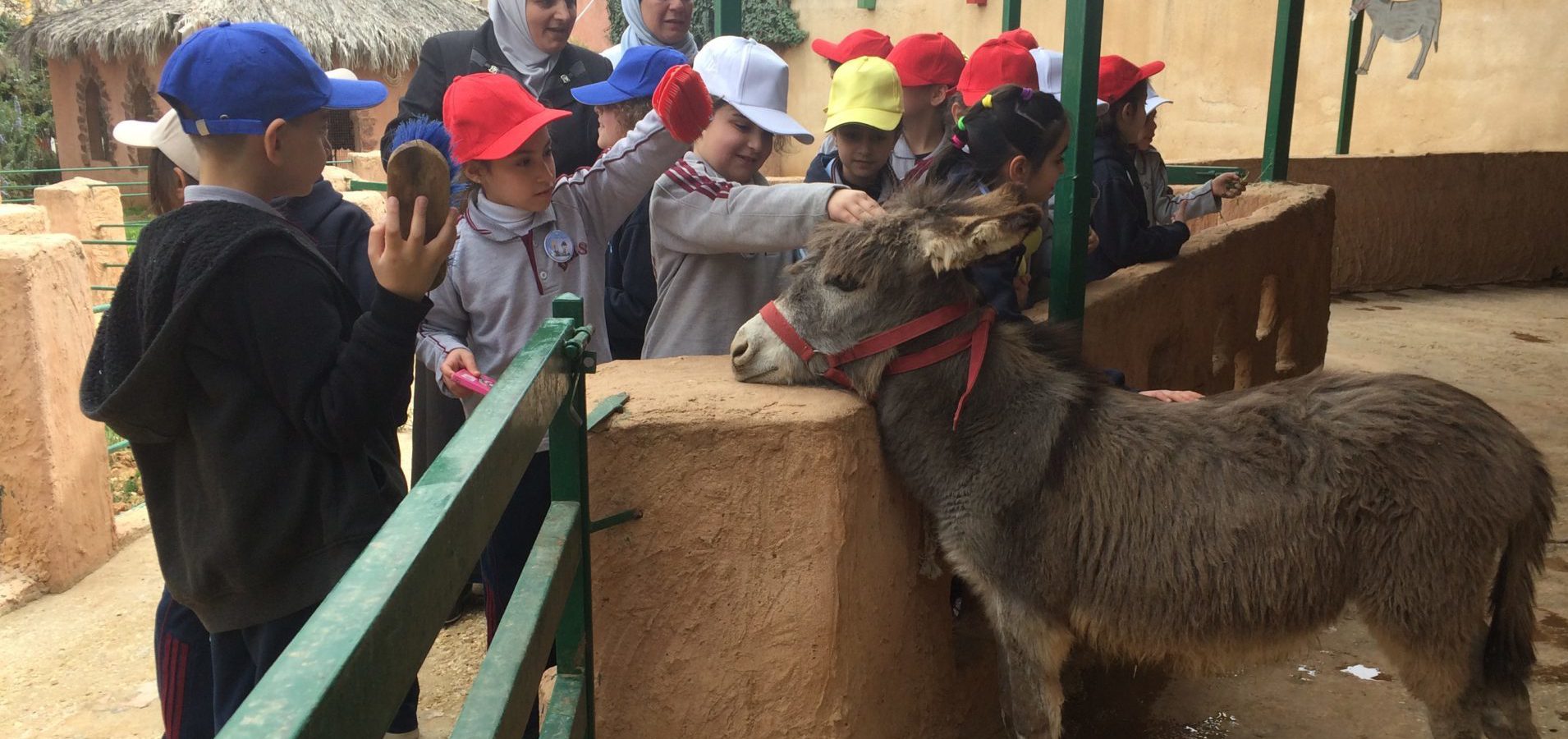 school children petting a donkey