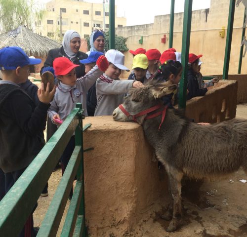school children petting a donkey