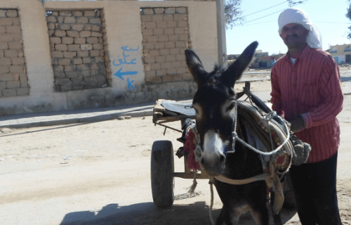 a donkey pulling a cart and the owner