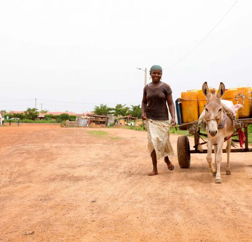 Mauritania, women and donkey pulling a cart