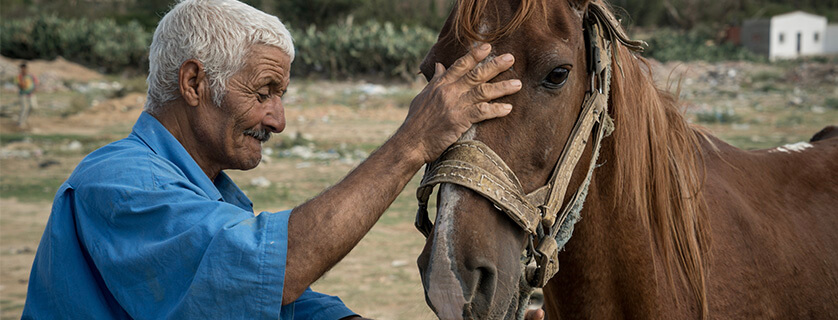 horse with elderly owner