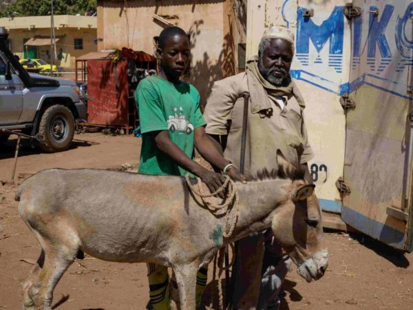 two men with a donkey in Mali