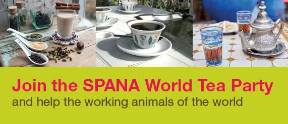 world tea party banner