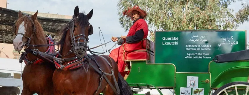 two horses pulling a carriage