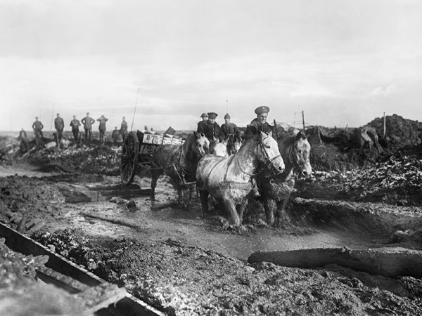 Horses-pulling-cart-in-World-War-One-©Imperial-War-museum