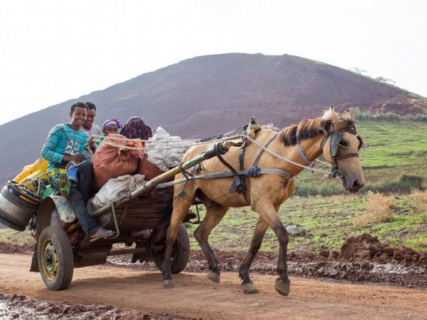 Brown horse pull a cart on people along a dusty road