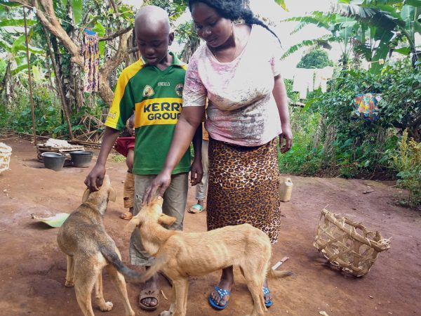 A mother and son pet their dogs.