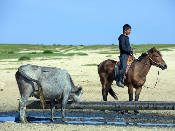 A young Mongolian man and his horse stop at a water trough.