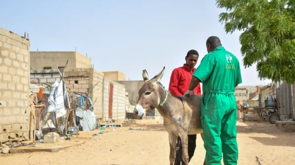 Aly received treatment at the mobile clinic