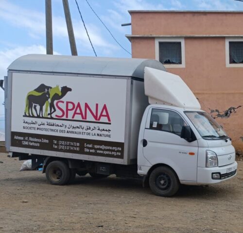 A SPANA truck carries essential supplies and medicines for working animals impacted by the earthquake in Morocco.