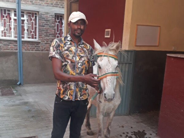 A horse with his owner at a SPANA vet centre in Ethiopia