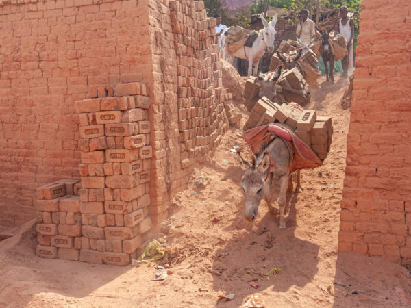 A donkey carries a heavy load of bricks around a kiln in India.