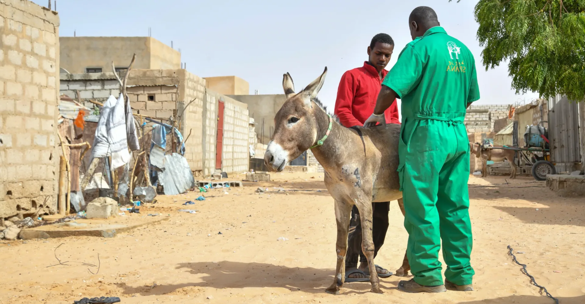 Aly received treatment at the mobile clinic