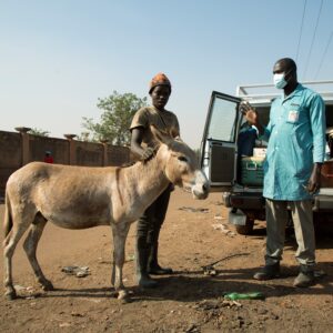 Donkey and owner stood next to a Mobile clinic