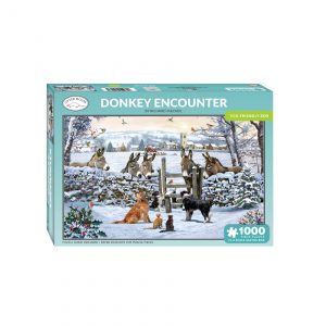 Donkey Encounter Puzzle box