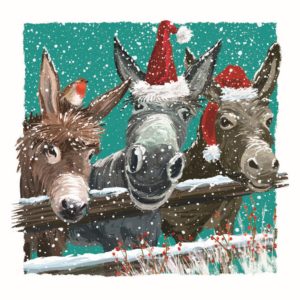 Card design - Three illustrated donkeys wearing Santa hats on green background