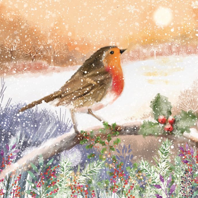 Illustrated card design - Robin sitting on snowy branch at dawn