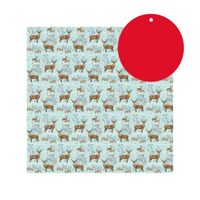 Winter Stags Eco Wrapping Paper and tag
