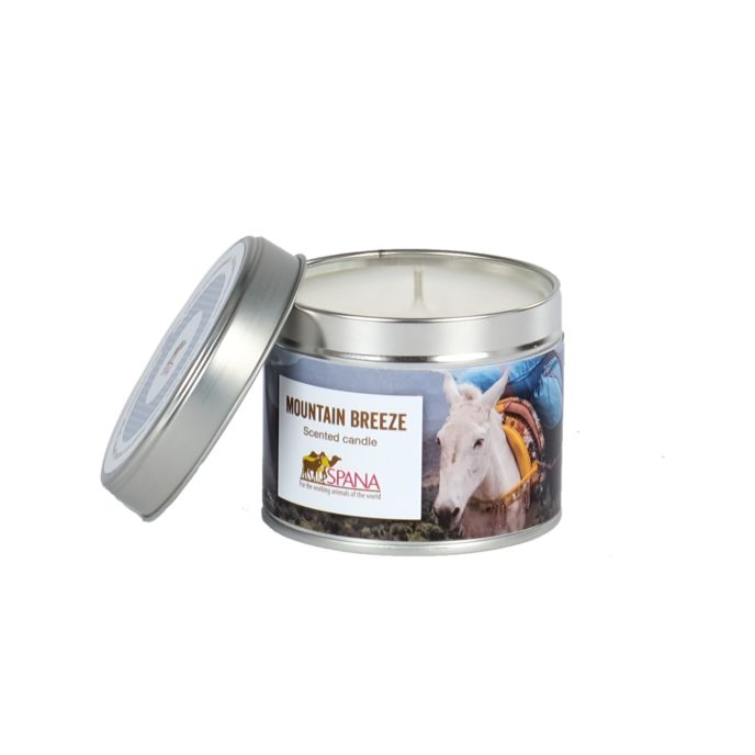 Mountain Breeze Candle