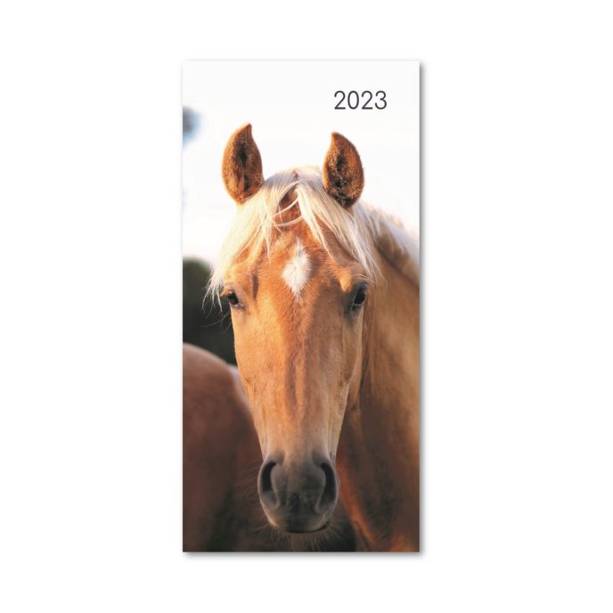 Front cover of 2023 horse diary
