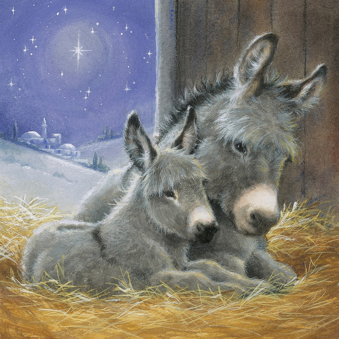 Christmas Archives SPANA Shop