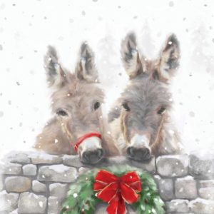 Donkeys and Wreath Card