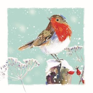 Robin on a Branch Card