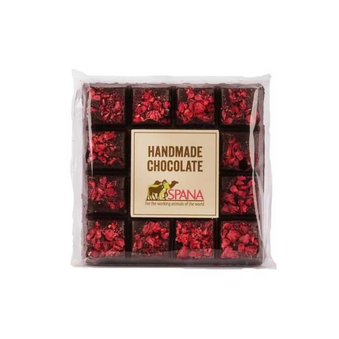 Dark chocolate square with pieces of raspberry