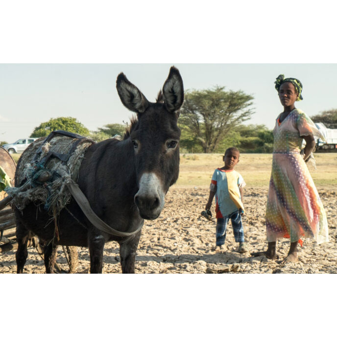 Donkey in Ethiopia with woman and child