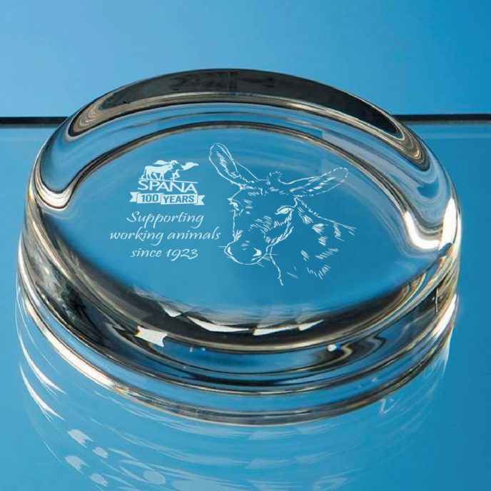 Glass paperweight with elegant donkey design