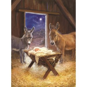 Christmas Card with donkeys in the stable standing next to baby Jesus