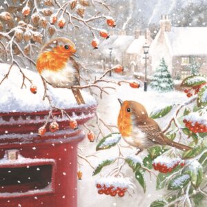 Christmas card with Robins in a winter sceneby a post box