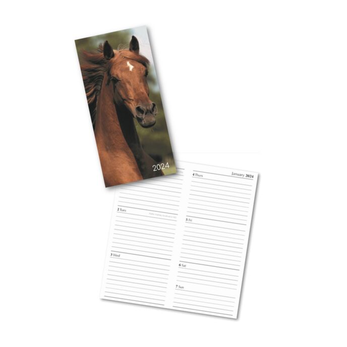 Inner pages of horse diary