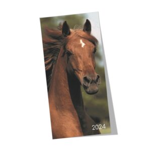 Horse diary front cover