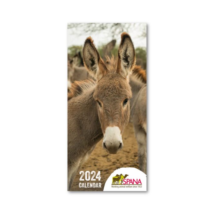 SPANA 2024 calendar front cover