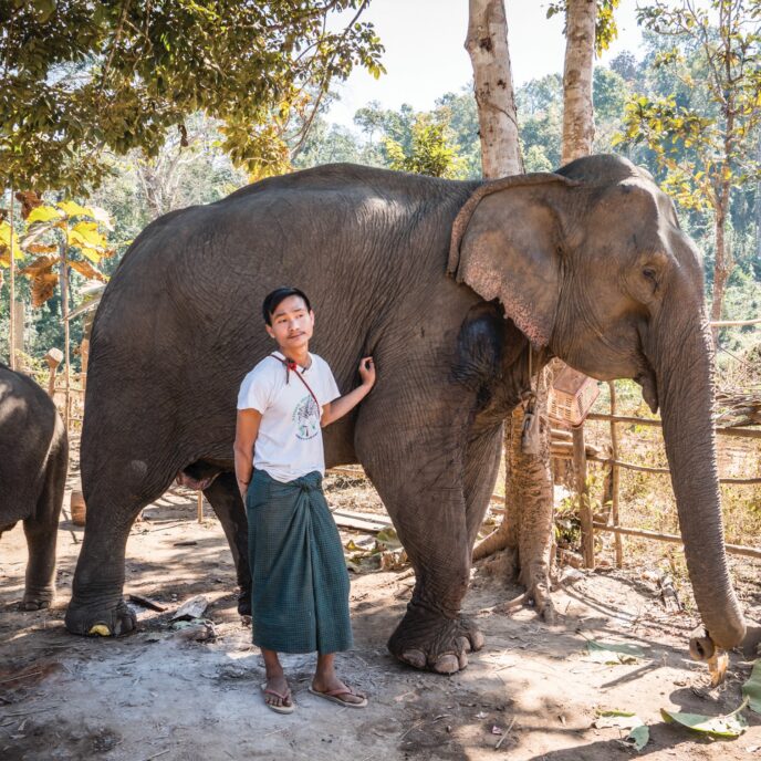 Oozie (Owner) standing by his logger elephant