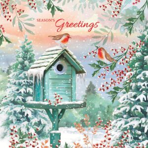 Christmas Card featuring robins by a birdhouse