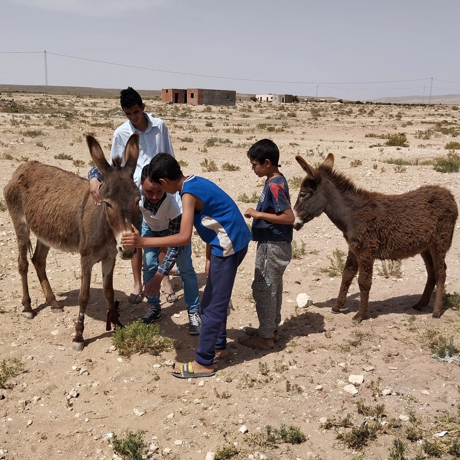Animal owners and their children with two donkeys.